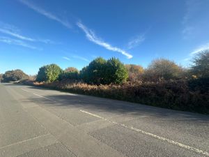 Photo 1- click for photo gallery